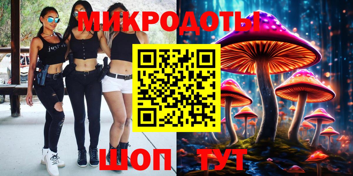 Галлюциногенные грибы Psilocybe Тавда
