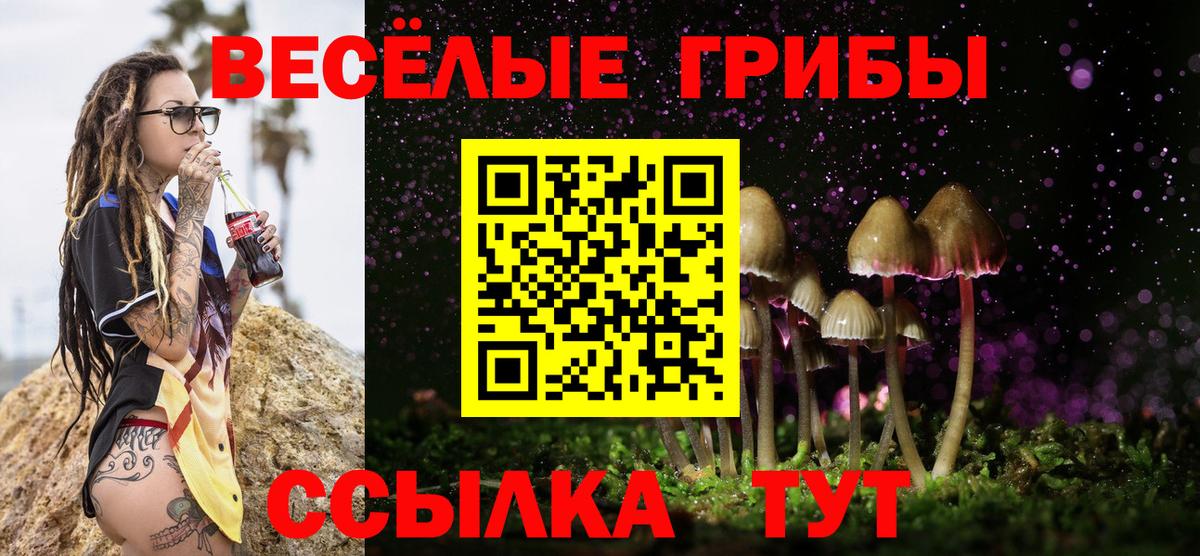 Тавда  Псилоцибиновые грибы мухоморы  Вход с VPN  Галлюциногенные грибы Psilocybe 