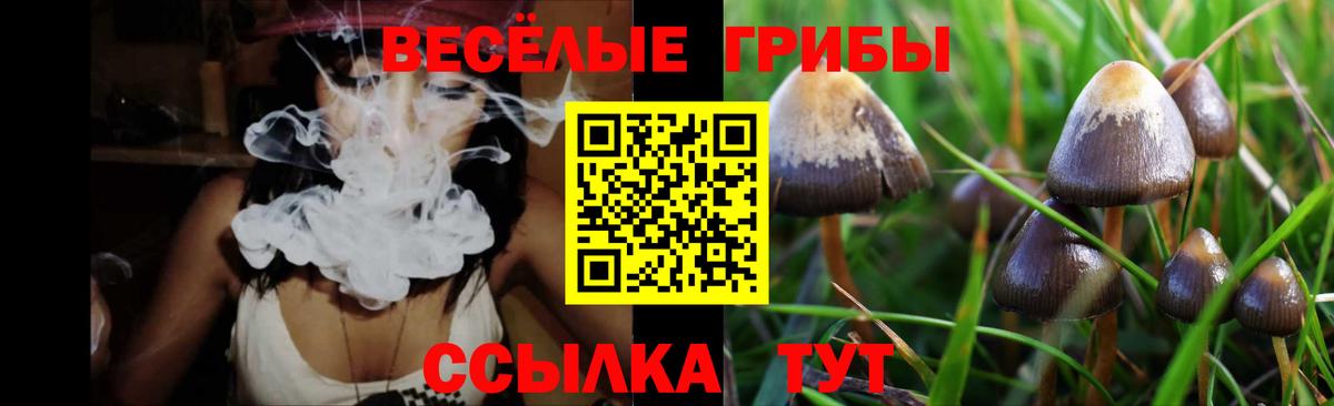 Псилоцибиновые грибы Cubensis  Тавда 